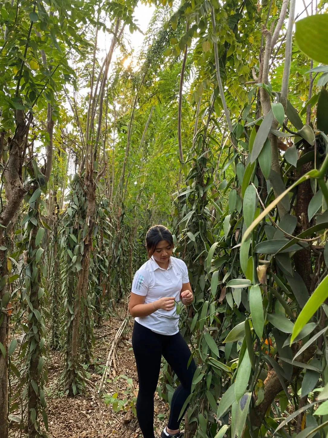 Kezia in a vanilla plantation in Indonesia